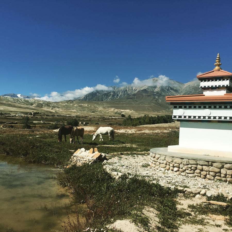 Royal Mustang Resort Nambo Ngoại thất bức ảnh
