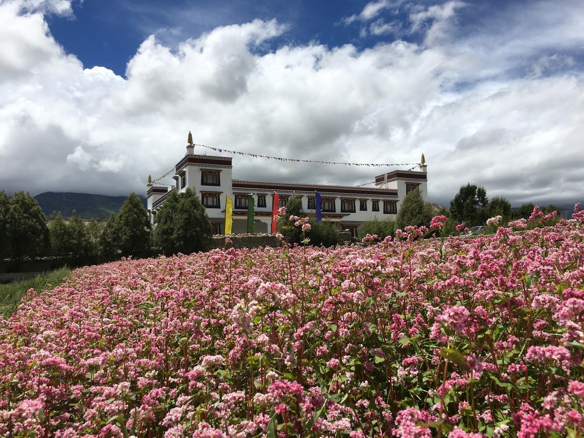 Royal Mustang Resort Nambo Ngoại thất bức ảnh